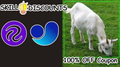 [100% OFF] Coupon Code Object Detection And Tracking Using Yolov11 : Deep Learning