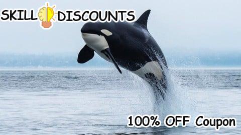 [100% OFF] Coupon Code Formation Orcaflex pour débutants/étudiants/Ingénieurs