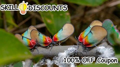 [100% OFF] Coupon Code How to Transform Your Life - practical ways