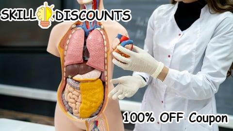 [100% OFF] Coupon Code Medical Coding Part 2: CPT Coding & Medical Billing Basics