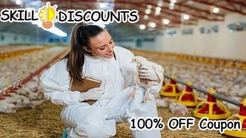 [100% OFF] Coupon Code Profitable Broiler Farming: Step-by-Step Guide