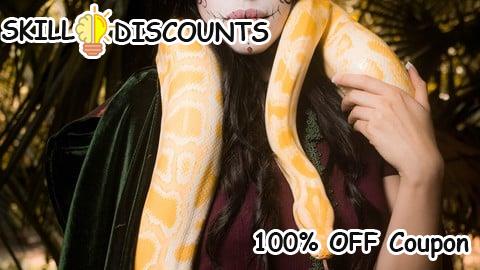 [100% OFF] Coupon Code Python Development Professional Certification